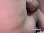 ferpal5 chaturbate profile picture