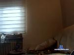 fistingrubberdogs chaturbate profile picture