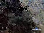 flor85 chaturbate profile picture