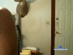 friendforfun chaturbate profile picture