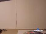 fuklikepornstars chaturbate profile picture