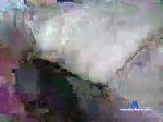 ghooter420 chaturbate profile picture