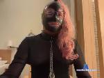 gizmox_ chaturbate profile picture