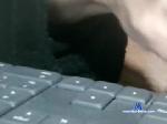 glyder1961 chaturbate profile picture
