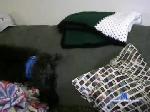 grannyisready61 chaturbate profile picture
