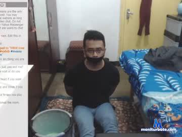 greyhardy93live chaturbate livecam performer profile