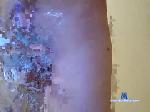 gutdcjnc5 chaturbate profile picture