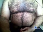 hairy_daddy_1900 chaturbate profile picture