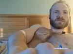 haloczech chaturbate profile picture