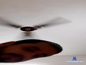 halowier_654009 chaturbate livecam performer profile