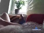 handlover71 chaturbate profile picture