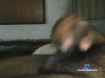 harderdaily18 chaturbate profile picture