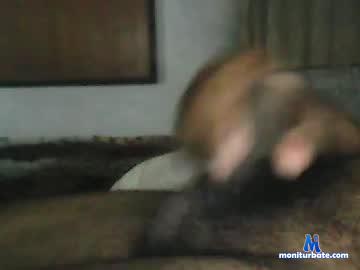 harderdaily18 Chaturbate model profile picture