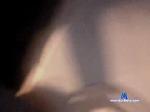 hardtofindxxl123 chaturbate profile picture