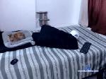harold_cruz18 chaturbate profile picture