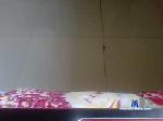harsh_211 chaturbate profile picture