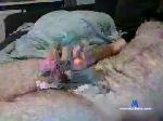 heck22 chaturbate profile picture