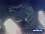 heyyaeasy chaturbate profile picture