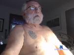 hillsidebear chaturbate profile picture