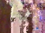 hiptomyster86 chaturbate profile picture