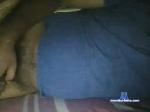 honey1258 chaturbate profile picture