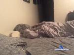 honeyham77 chaturbate profile picture