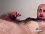 hormonemunster chaturbate profile picture