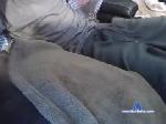 hornyboymikeg chaturbate profile picture