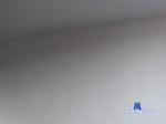 hornybstrd29 chaturbate profile picture