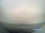hornytino696969 chaturbate profile picture
