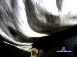 hotdstill17 chaturbate profile picture