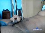 hott424242 chaturbate profile picture
