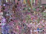 hoy_hot20cm chaturbate profile picture