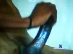 hugehugebbc chaturbate profile picture