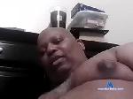 hukybear736 chaturbate profile picture