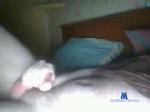 hunter_french chaturbate profile picture