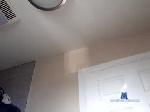 ibangdolphins_869 chaturbate profile picture