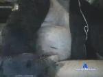 icecreamlicker9999 chaturbate profile picture