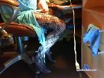 ilovetights001 chaturbate profile picture