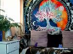 indica_me chaturbate profile picture