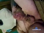 innocentlords chaturbate profile picture