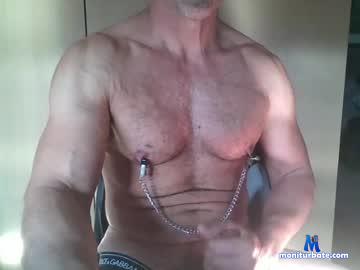 italaussiecock Chaturbate model profile picture
