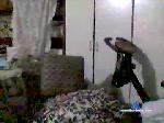 itzme7337 chaturbate profile picture