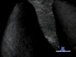janamvas chaturbate profile picture