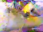jdbxlt96 chaturbate profile picture