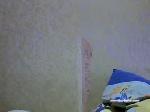 jemma_love chaturbate profile picture