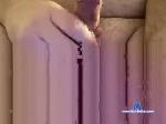jfoxxx7 chaturbate profile picture