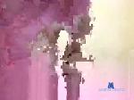 jihardxx chaturbate profile picture