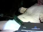 jimjr67 chaturbate profile picture
