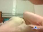 jmo_squirtz chaturbate profile picture